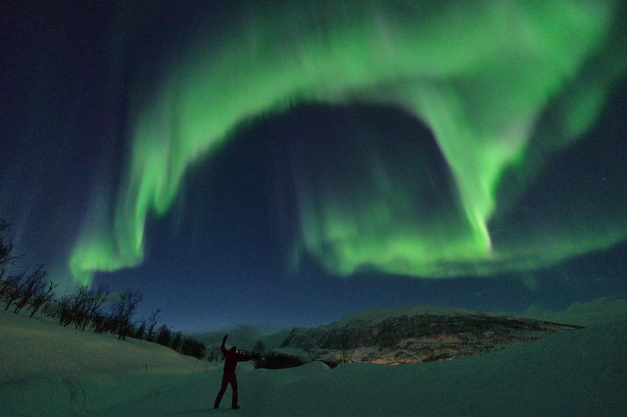 Maribell Sjobuer As Apartment Tromso Bagian luar foto